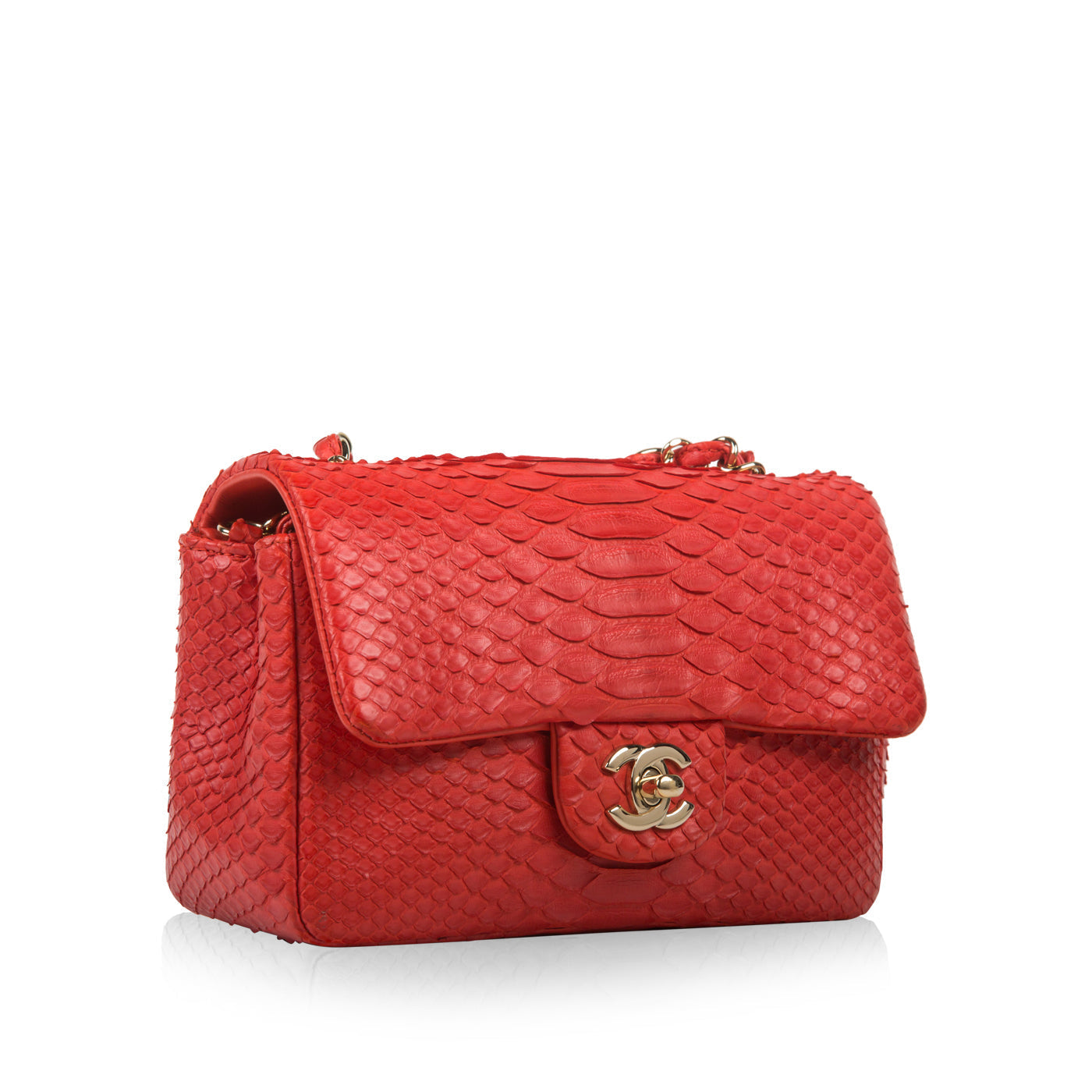 Chanel Classic Flap Bag - Mini Rectangular - Python