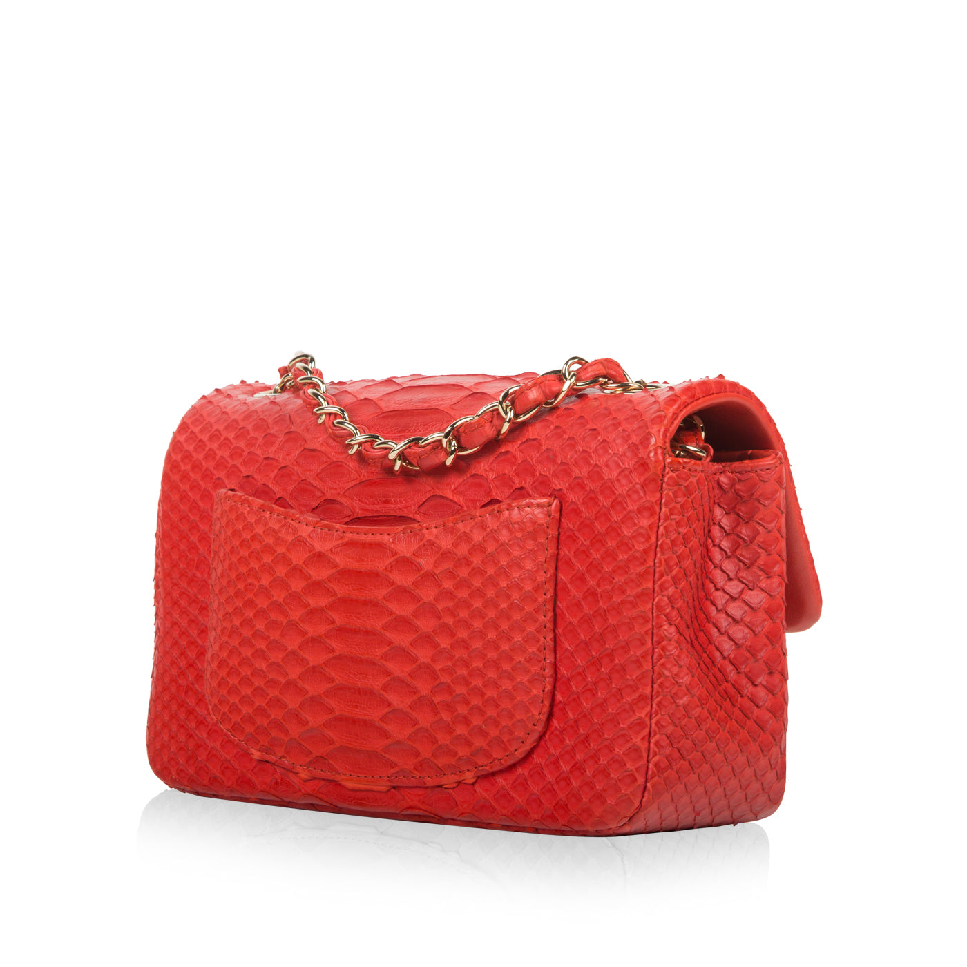 Chanel Classic Flap Bag - Mini Rectangular - Python