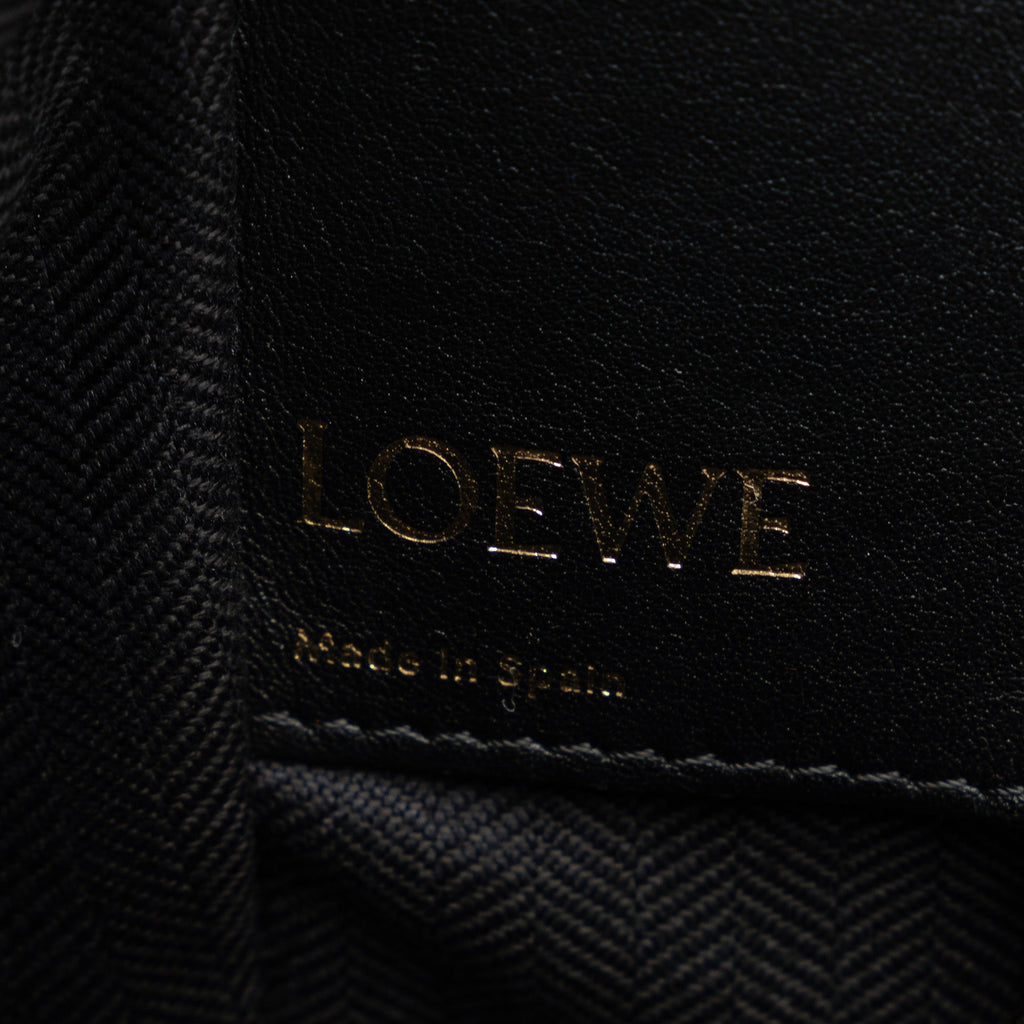 Loewe Anagram Hammock Bag Small Brown Canvas