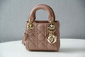BLUSH BAGZ - Dior Bags - 231