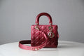 BLUSH BAGZ - Dior Bags - 1880