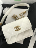 SAMC - CHL Bags - 512