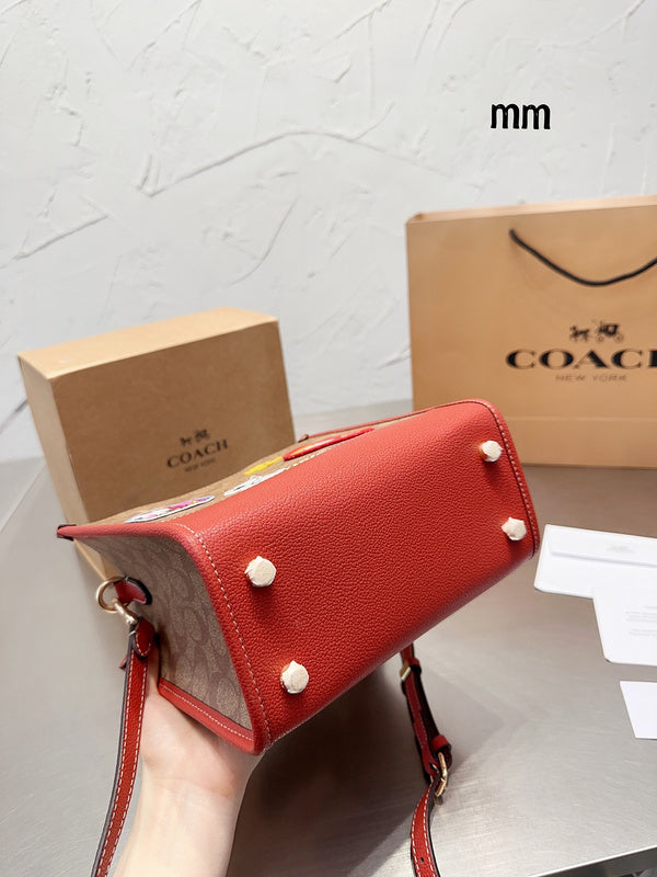Satchel Bags - CCH Bags - 353