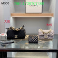 Glami - CHL Bags - 2510
