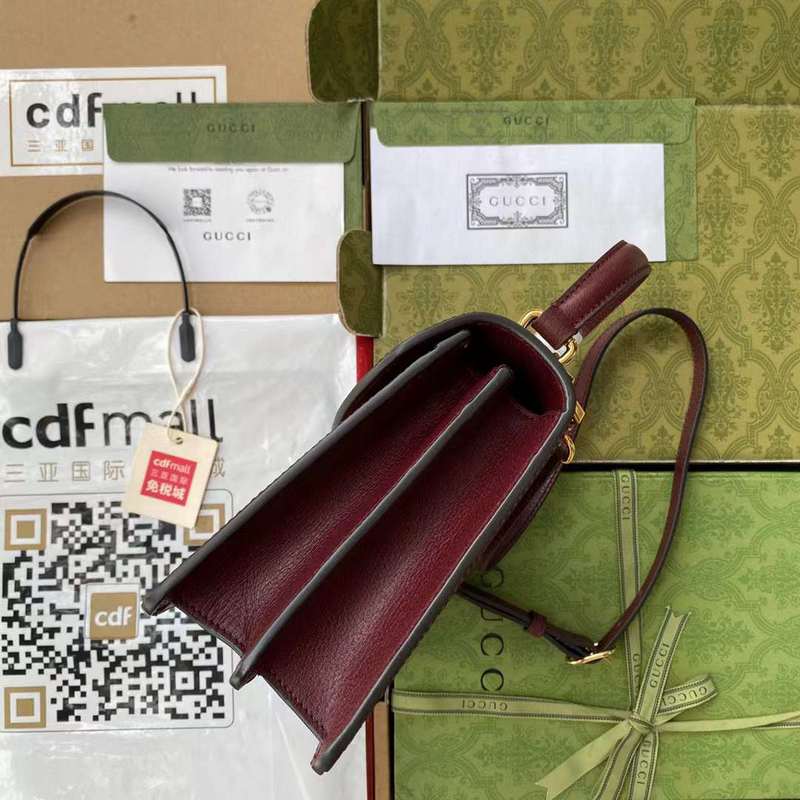 GUI2 Bags - Luxurious Bags  677