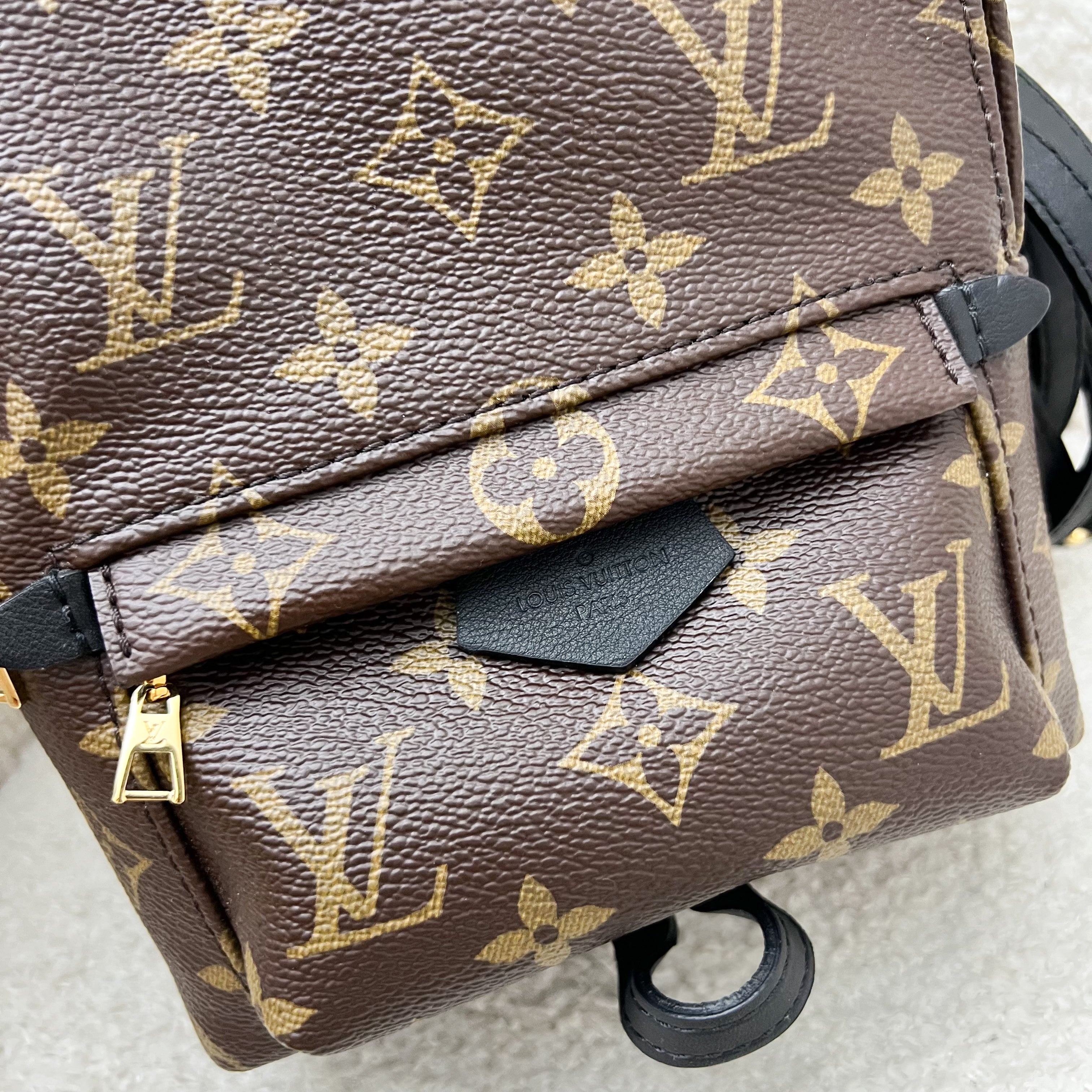 LV Palm Springs Mini Backpack in Monogram Canvas and GHW