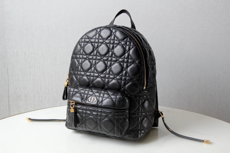 BLUSH BAGZ - Dior Bags - 1761