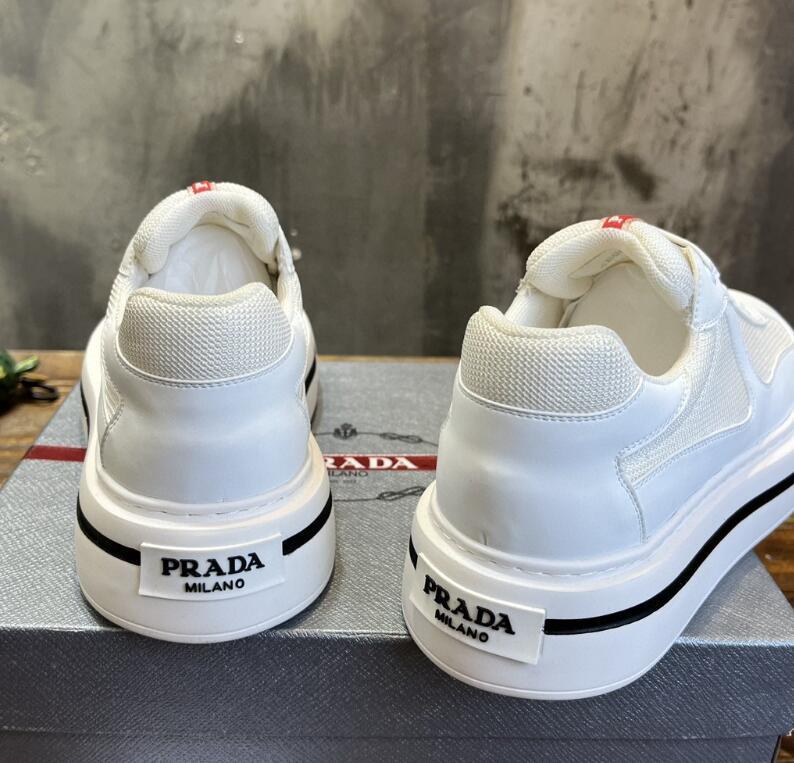 Glamy - PD Men Shoes - 088