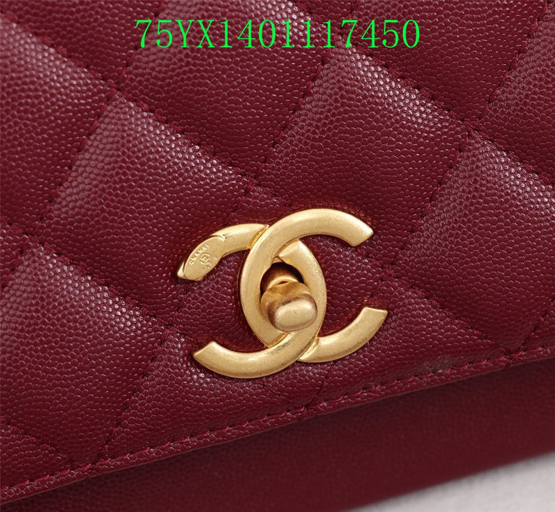 Glami - CHL Bags - 3204