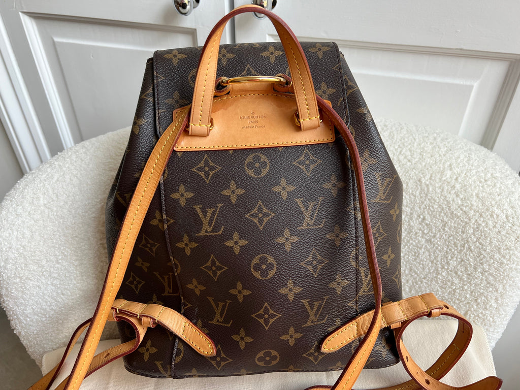Louis Vuitton Montsouris PM Backpack (£1980)