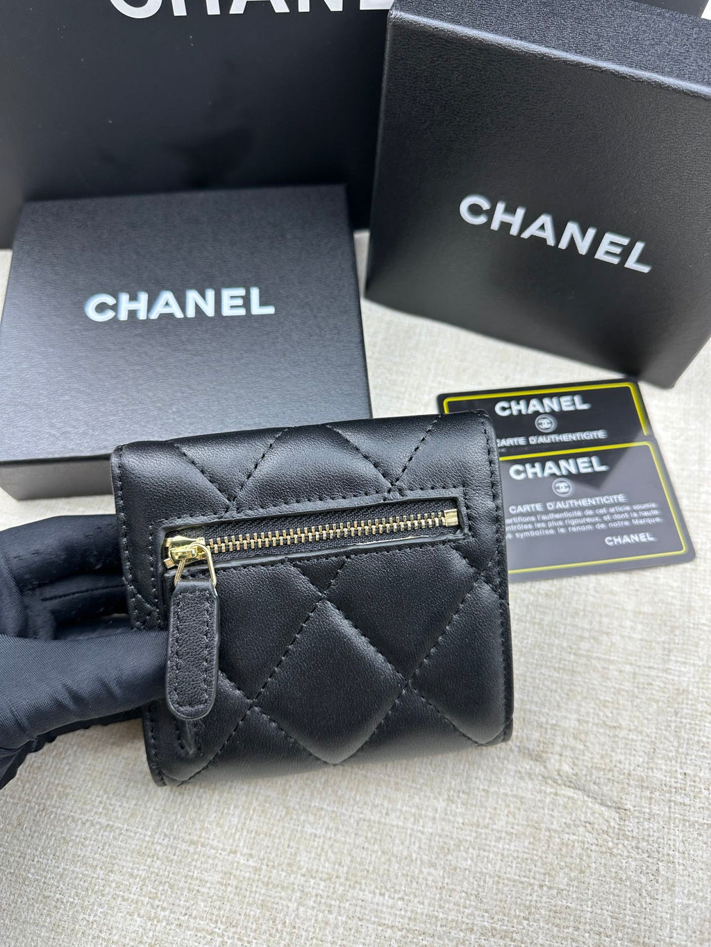 EN - New Arrival Bags CHL 558