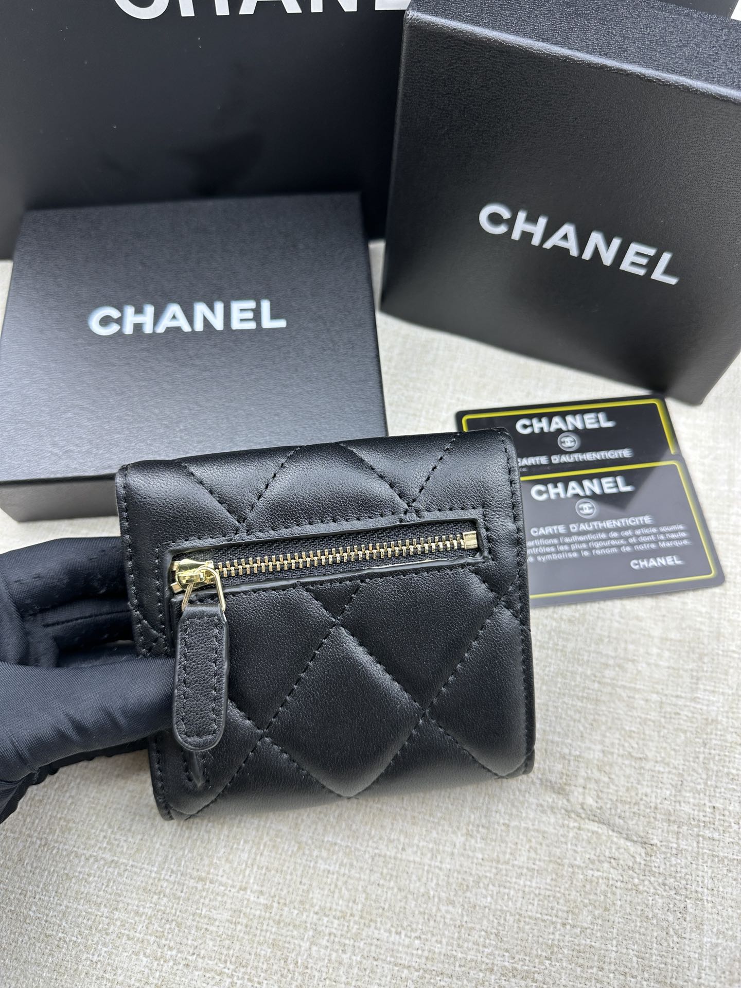 EN - New Arrival Bags CHL 558