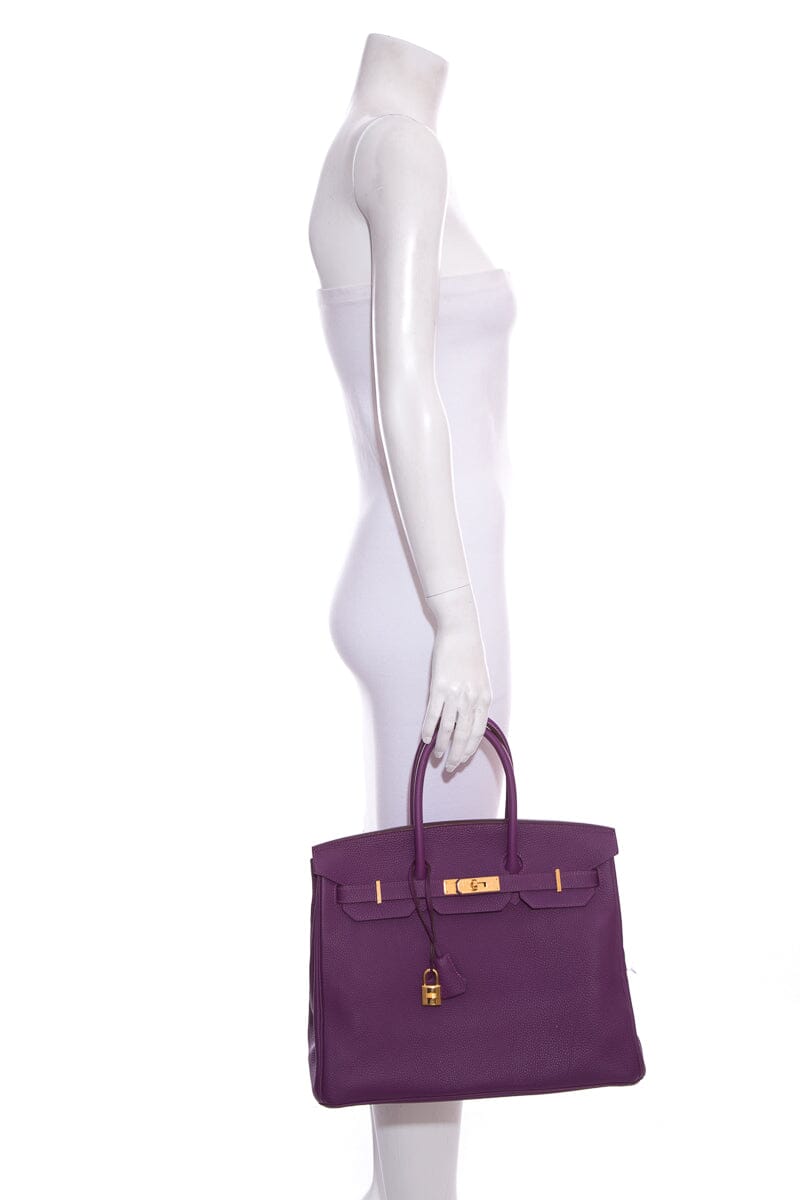 HermÃƒÆ’Ã‚Â¨s 2012 Anemone 35cm Togo Birkin Handbag W/ Gold HW