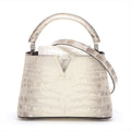 Louis Vuitton Sahara Capsine Mini N99379