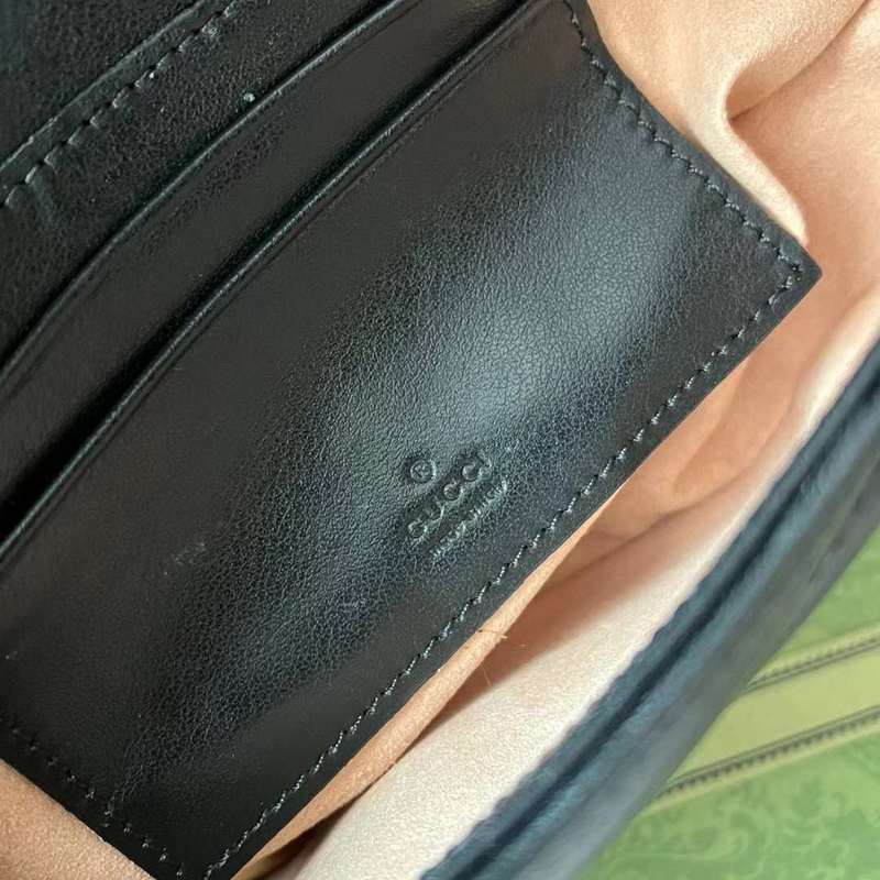 GUI2 Bags - Luxurious Bags  063