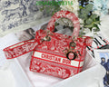 SAMCC - DOR Bags - 1434