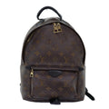 Louis Vuitton Palm Spring Backpack