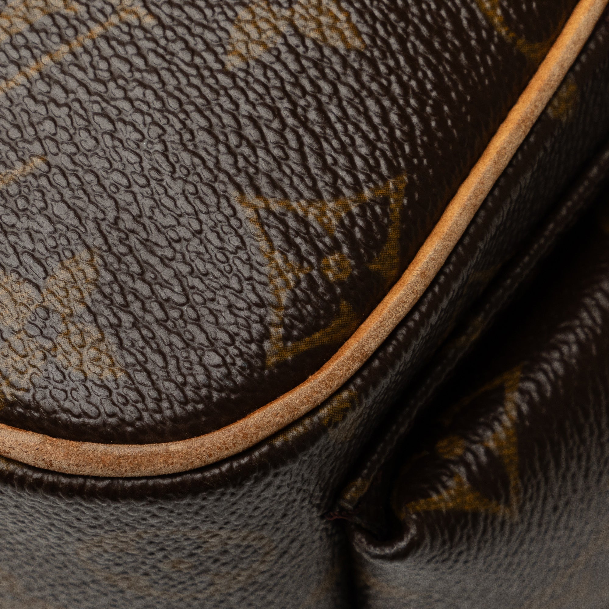 Brown Louis Vuitton Monogram Excentri-Cite Handbag