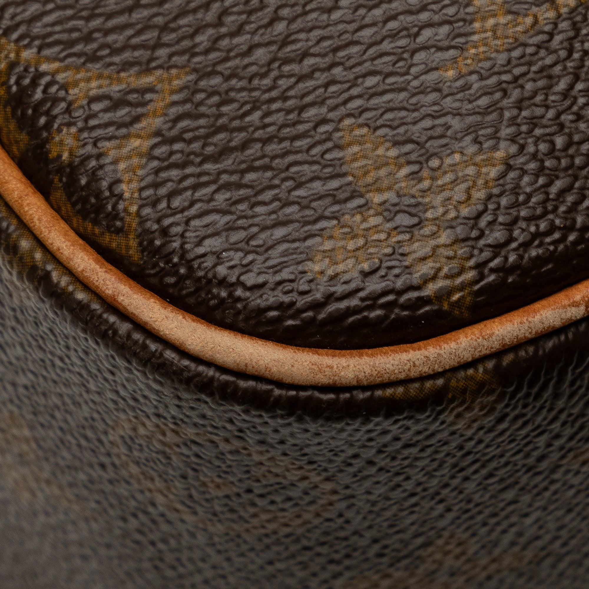 Brown Louis Vuitton Monogram Excentri-Cite Handbag
