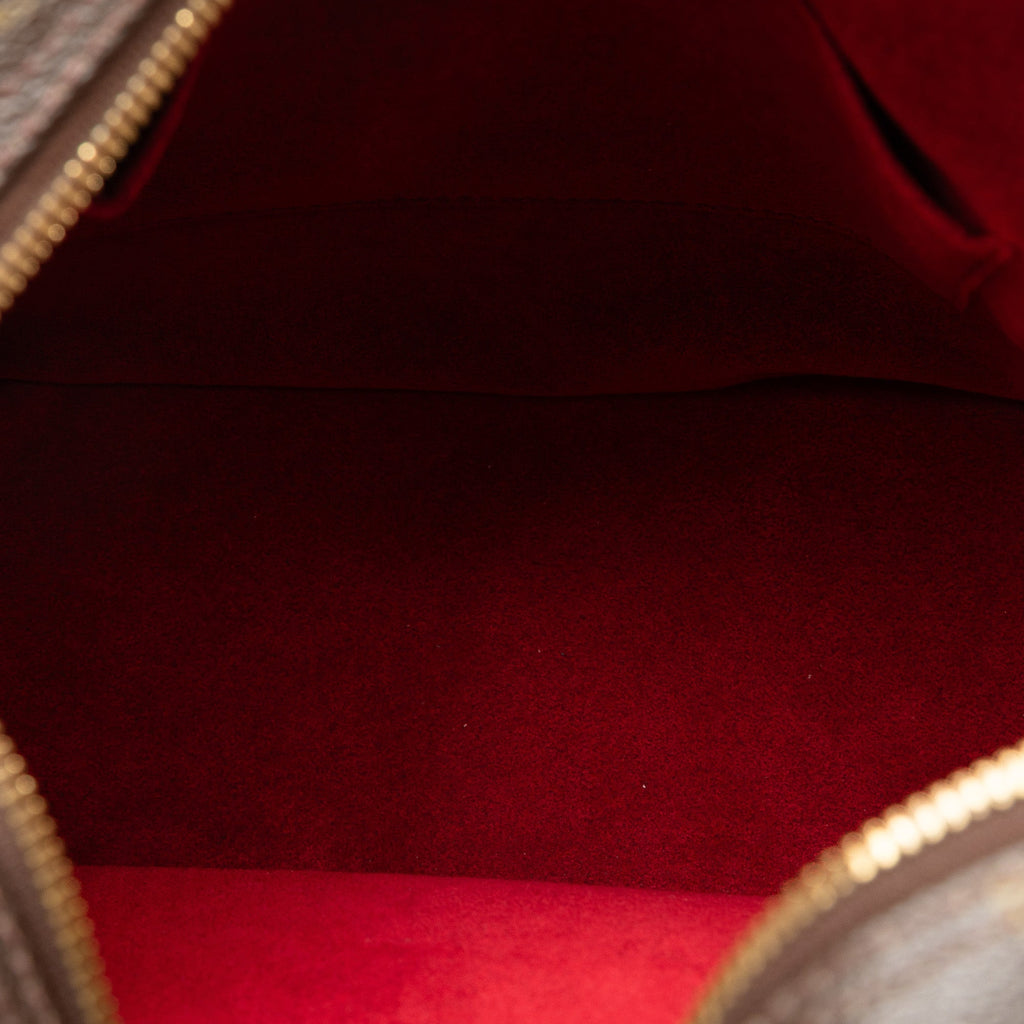 Brown Louis Vuitton Monogram Excentri-Cite Handbag
