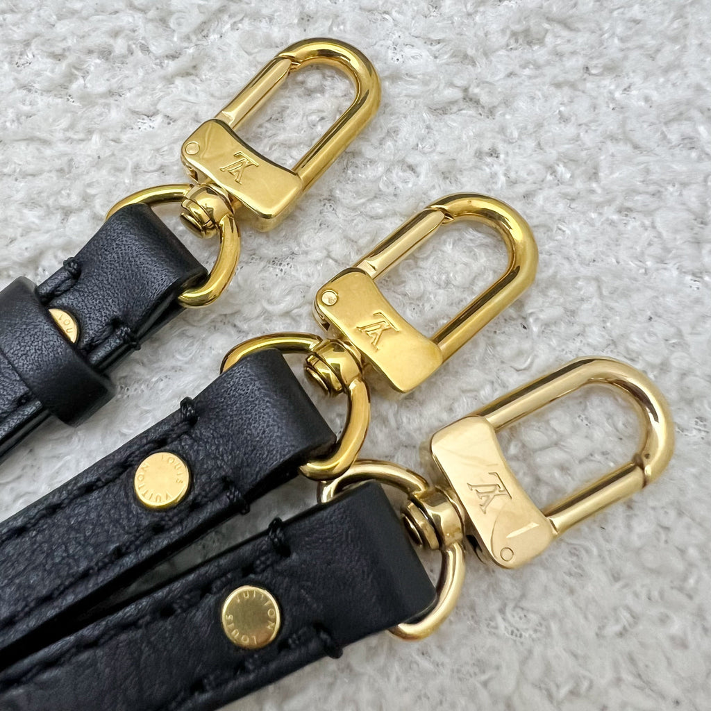 LV Palm Springs Mini Backpack in Monogram Canvas and GHW