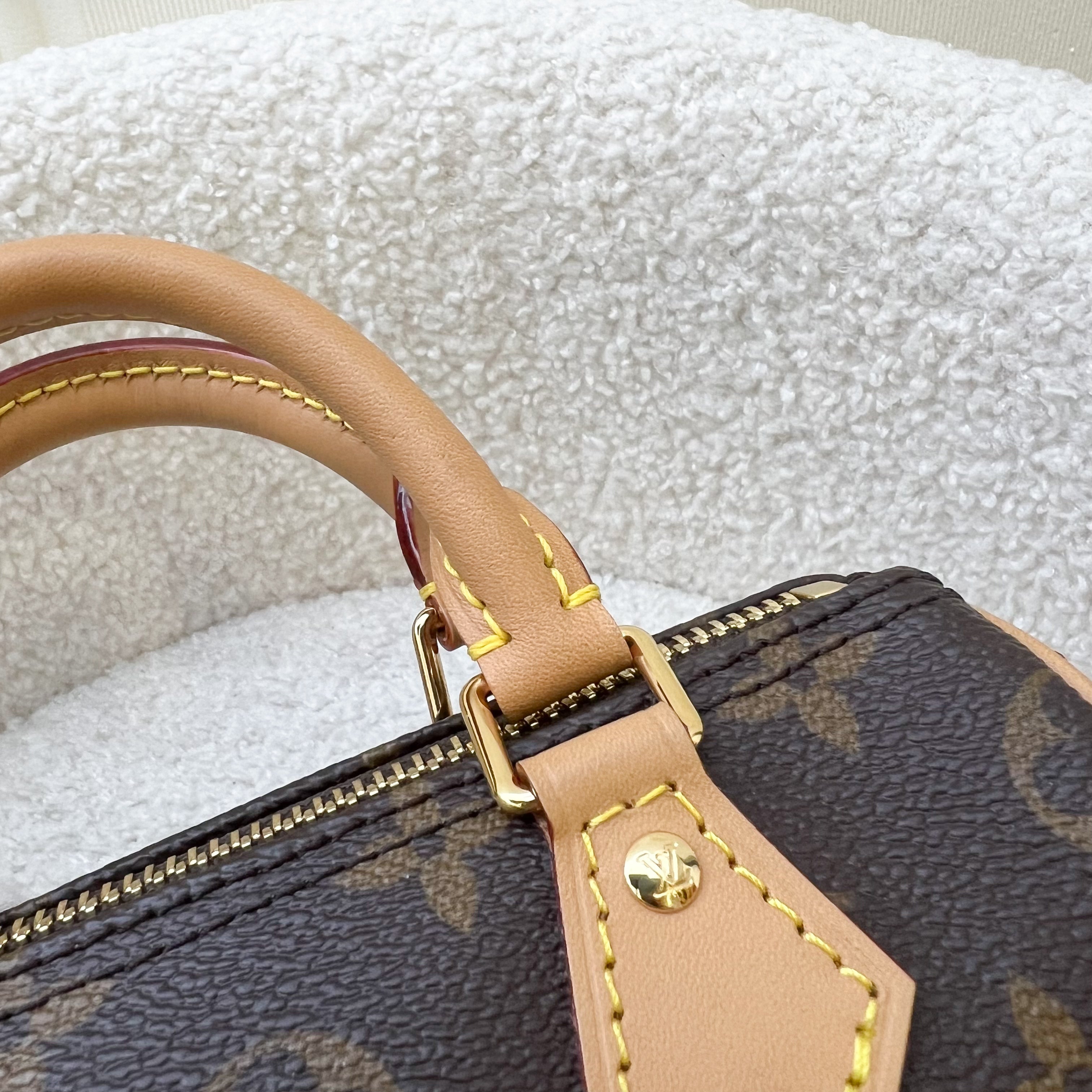 LV Nano Speedy in Monogram Canvas and GHW