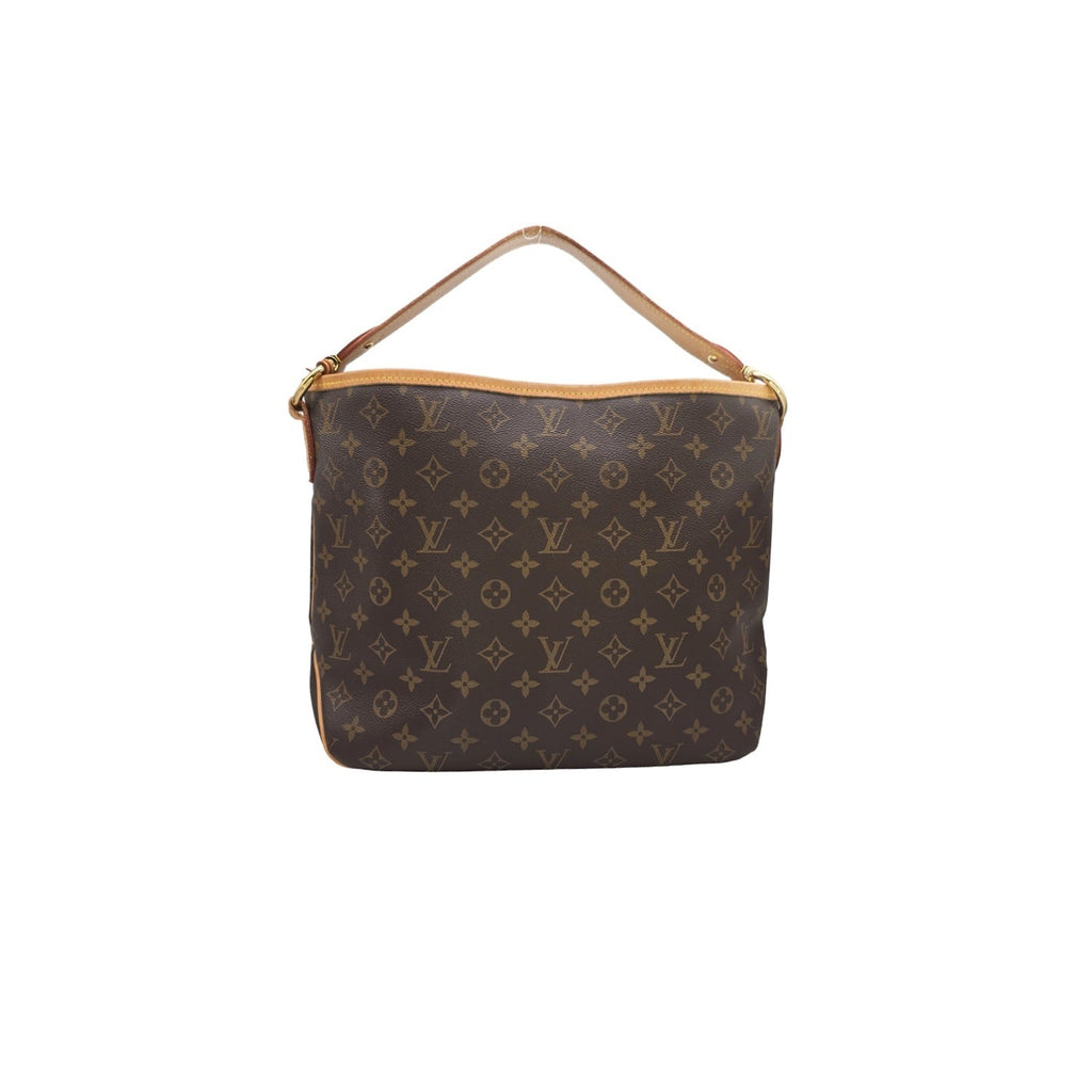 Louis Vuitton Monogram Delightful Hobo PM