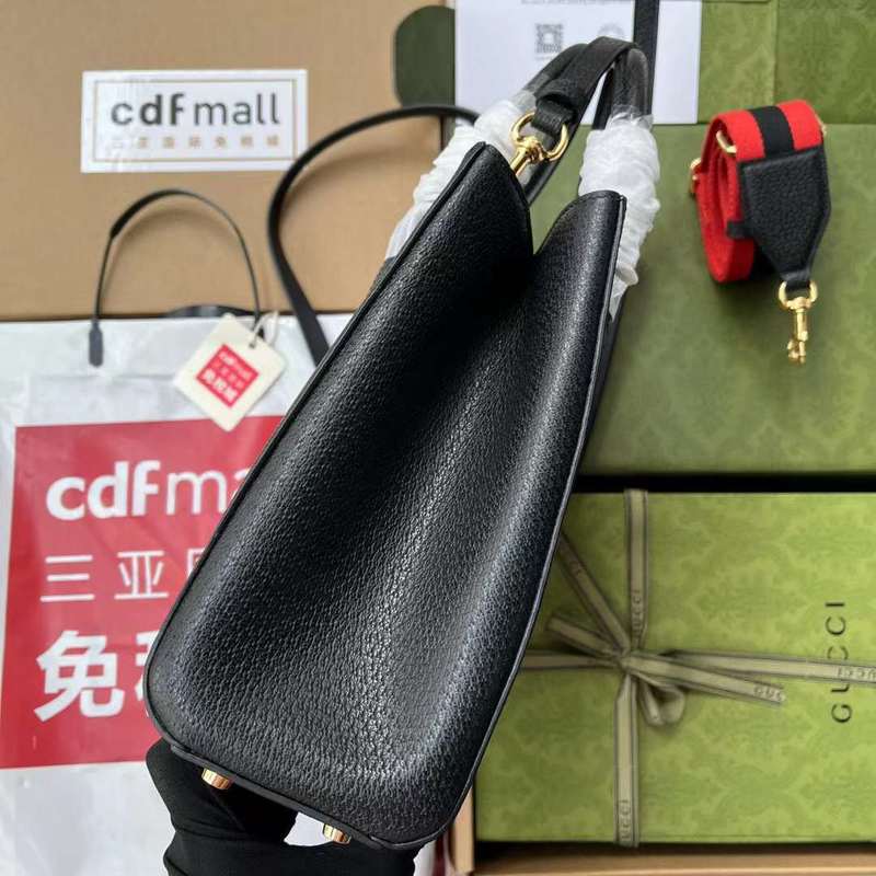 GUI2 Bags - Fashion Bags  495