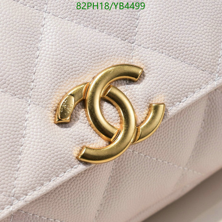 SAMC - CHL Bags Crossbody - 454
