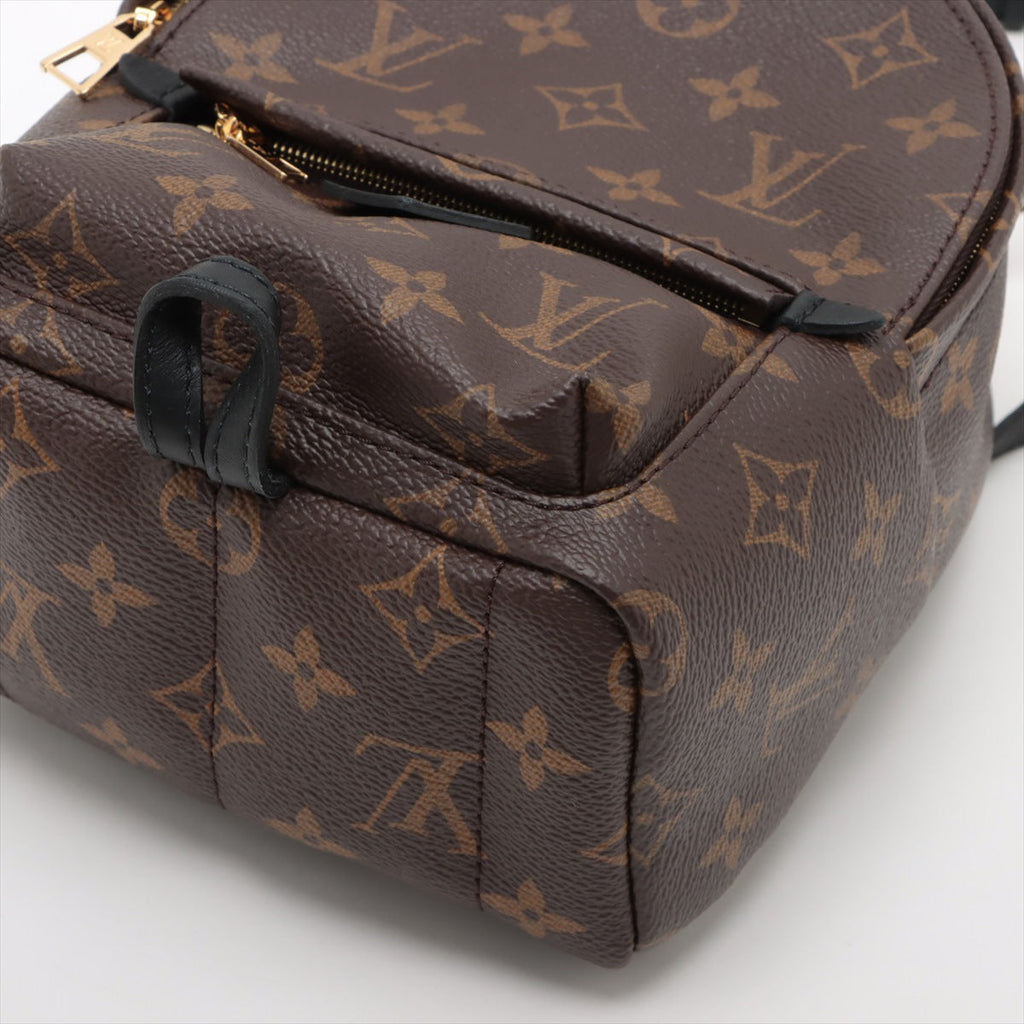 Louis Vuitton Monogram Palm Springs MINI M41562
