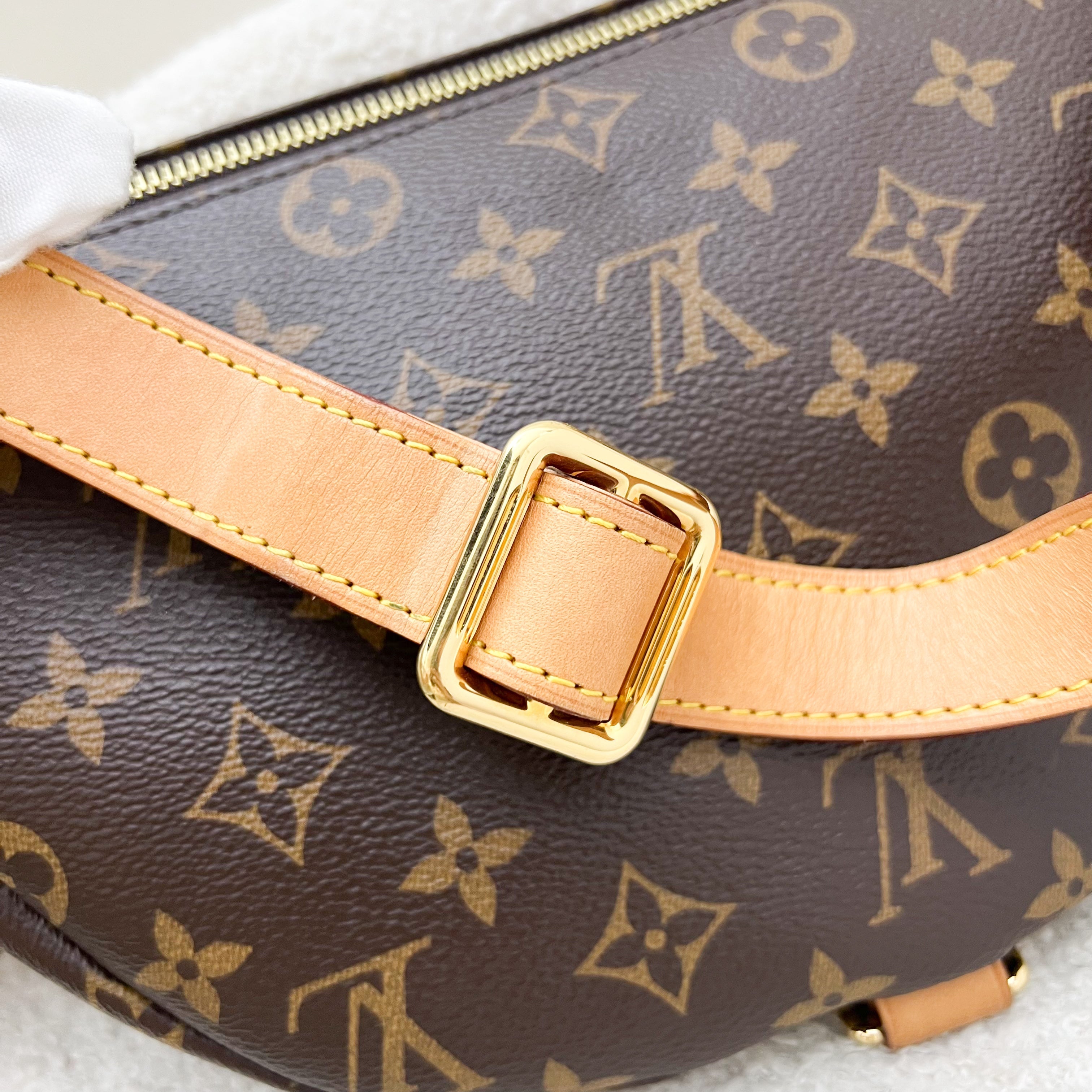 LV Bumbag in Monogram Canvas and GHW