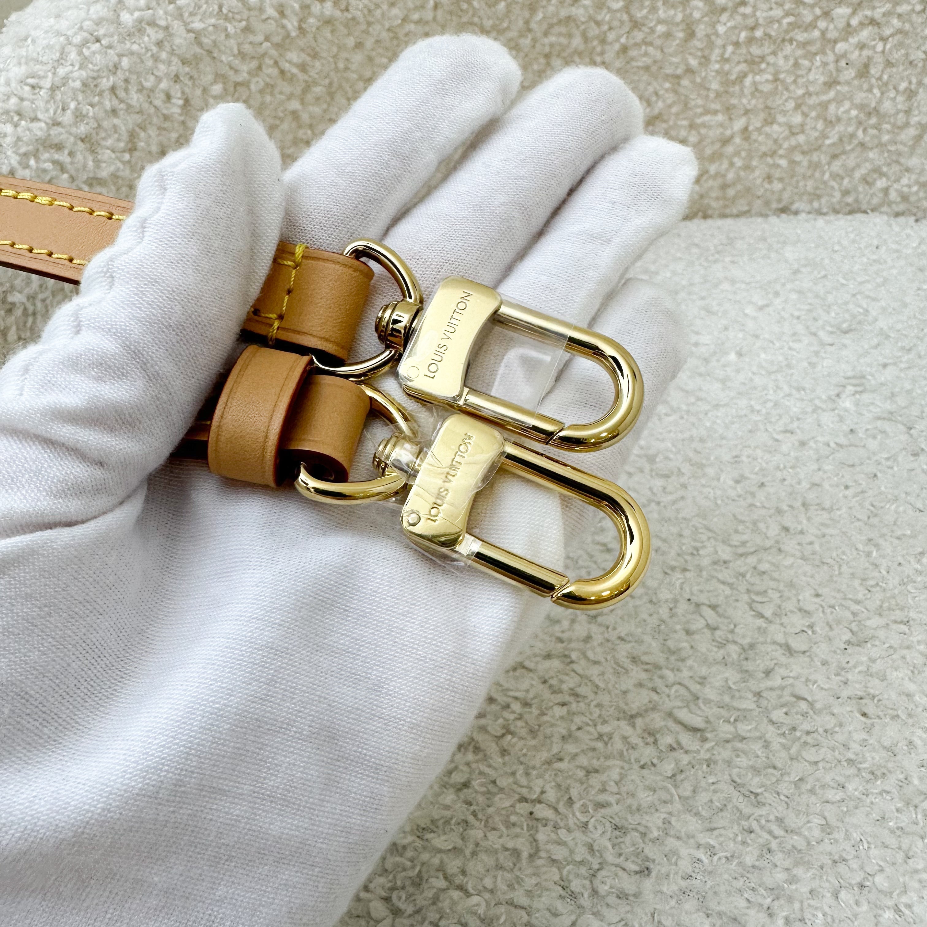 LV Side Trunk PM Bag in Monogram Canvas and GHW