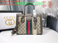 Glami Fashion - GCI Bags - 10764
