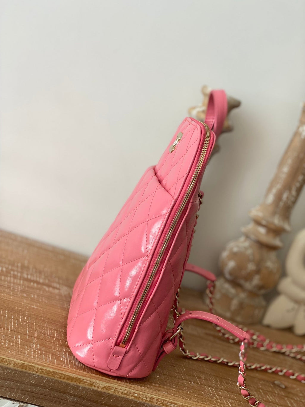 CHLRucksack Backpack PiNike Bag For Women 21cm/8in