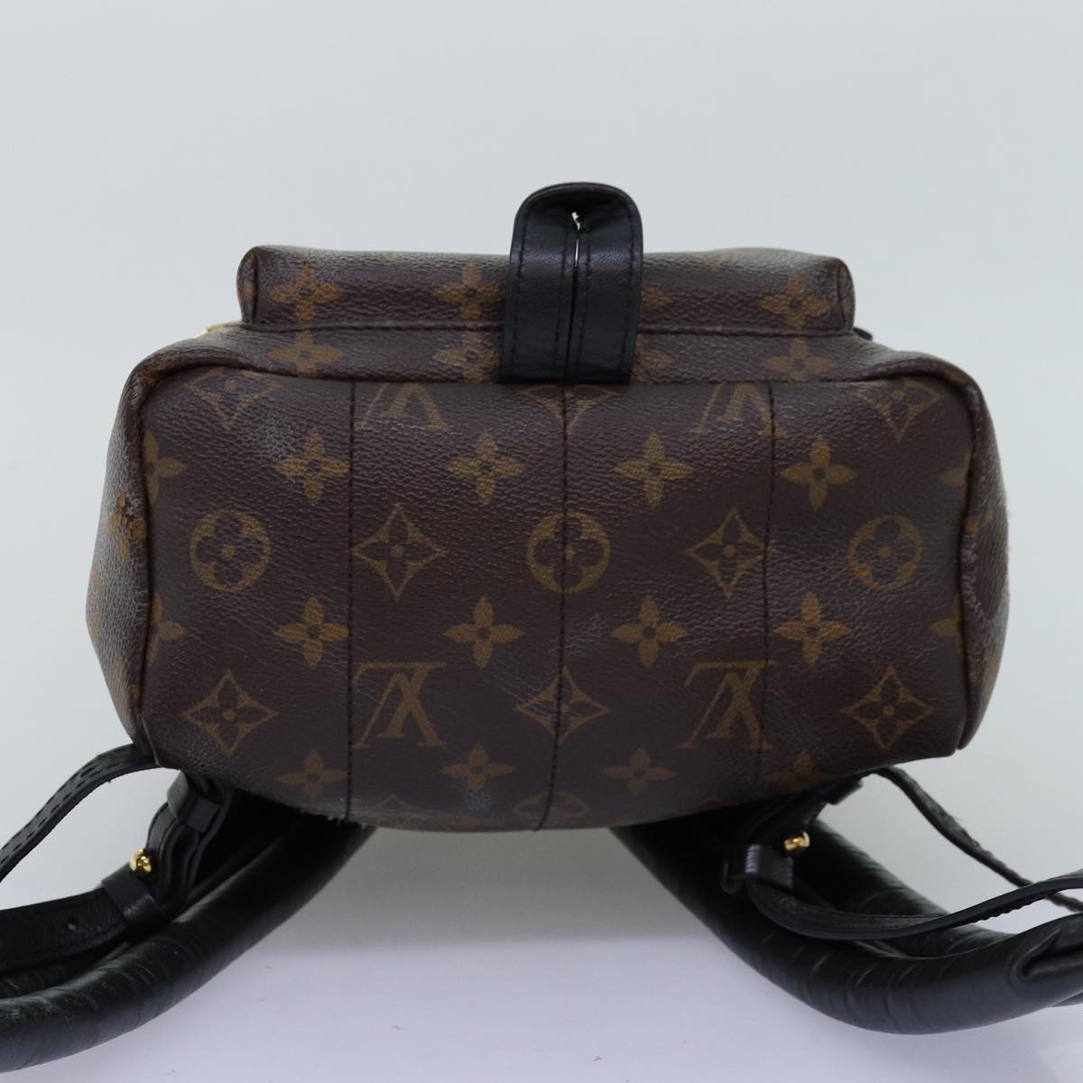 Louis Vuitton Palm Spring Backpack