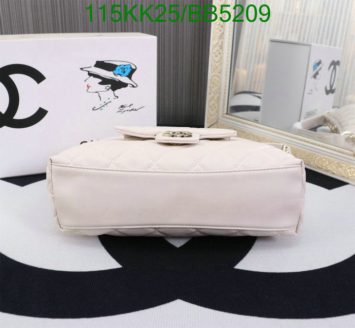 SAMC - CHL Bags Handbags - 137