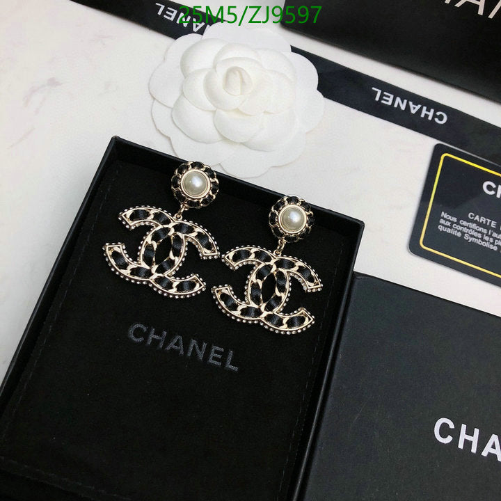 SAMC - CHL Jewelry Earrings - 433