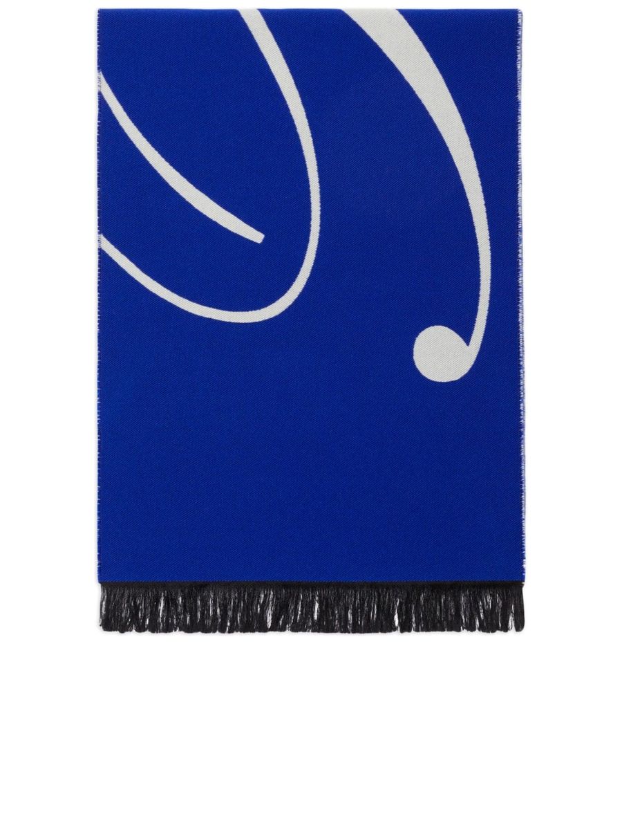 Knitted Fringe Scarf