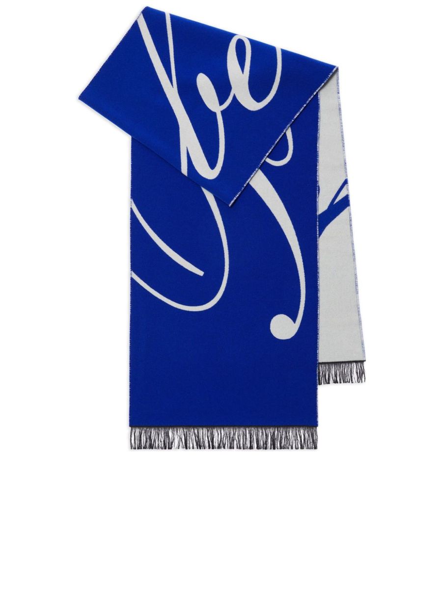 Knitted Fringe Scarf