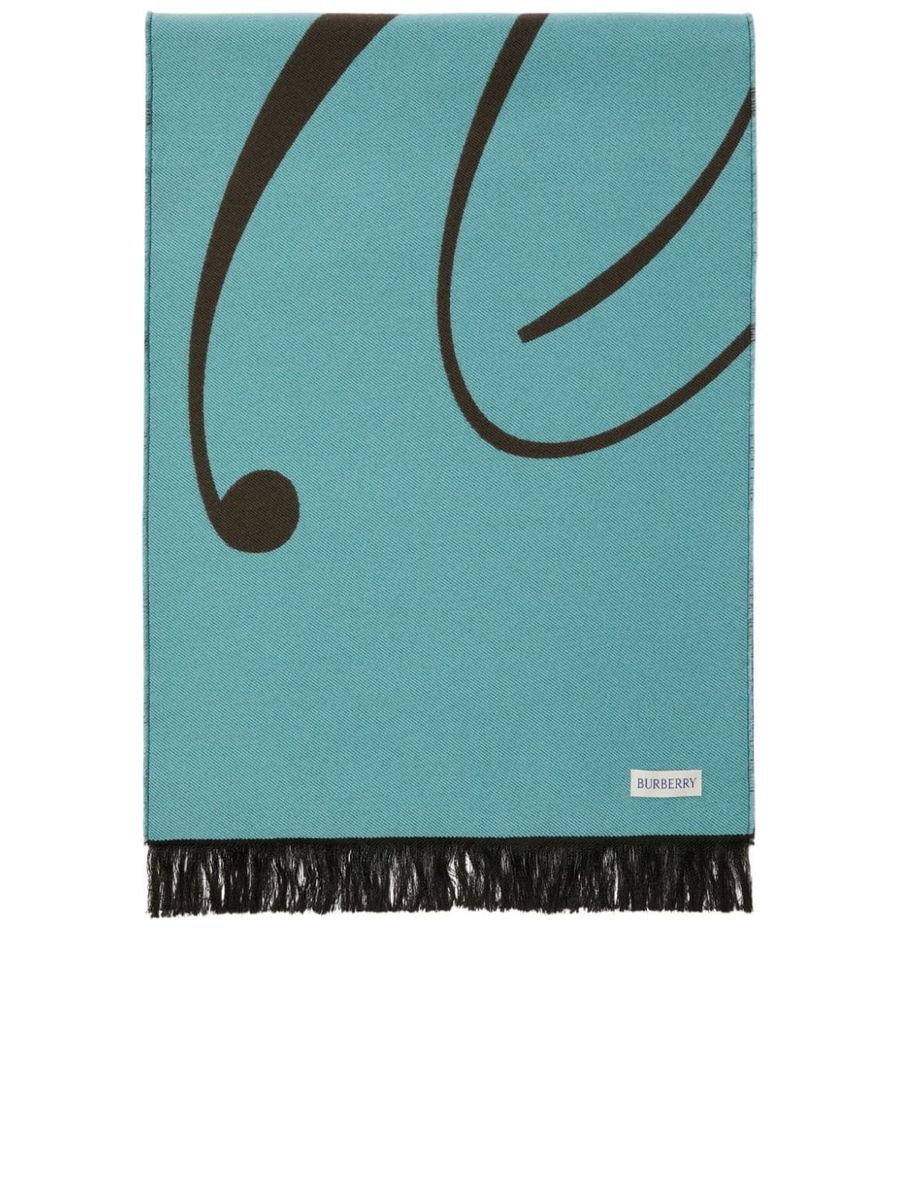 Twotone Fringe Scarf