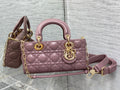 BLUSH BAGZ - Dior Bags - 1193