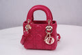 BLUSH BAGZ - Dior Bags - 227