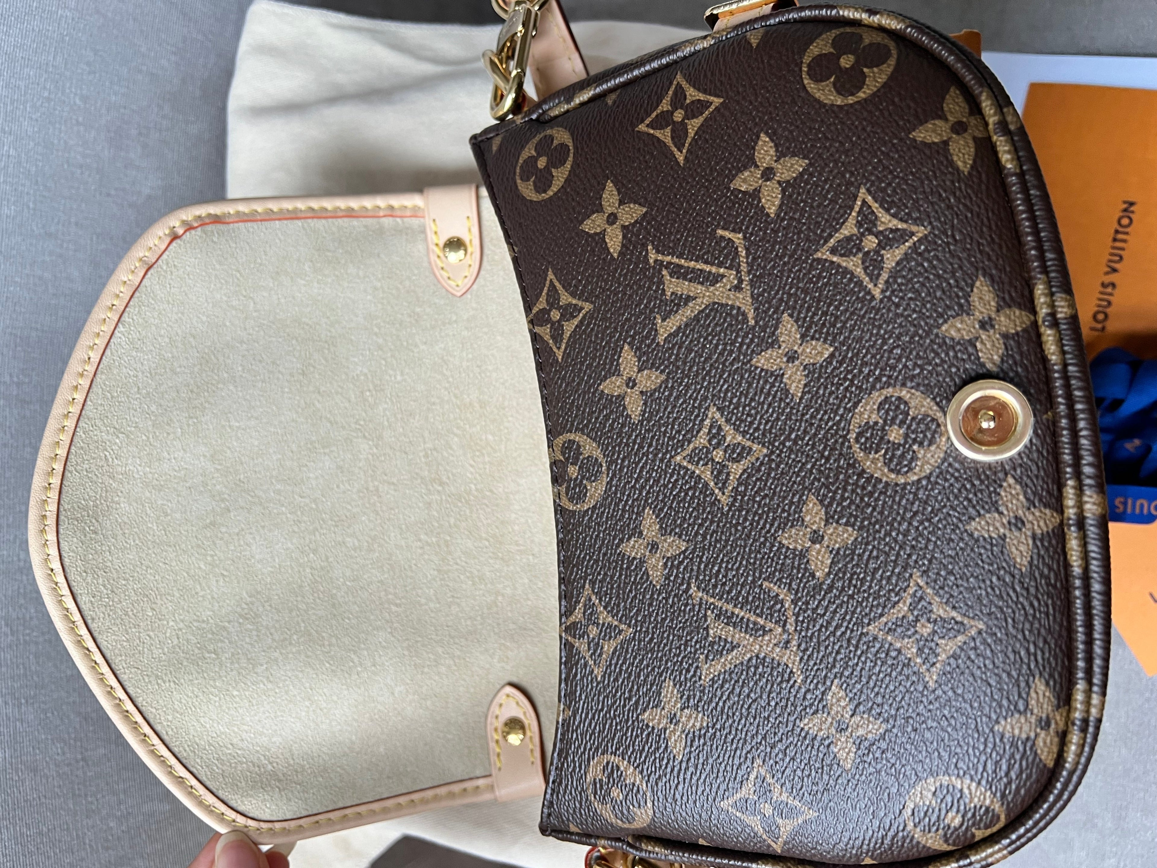 Louis Vuitton Saumur BB Monogram (RRP £1830)
