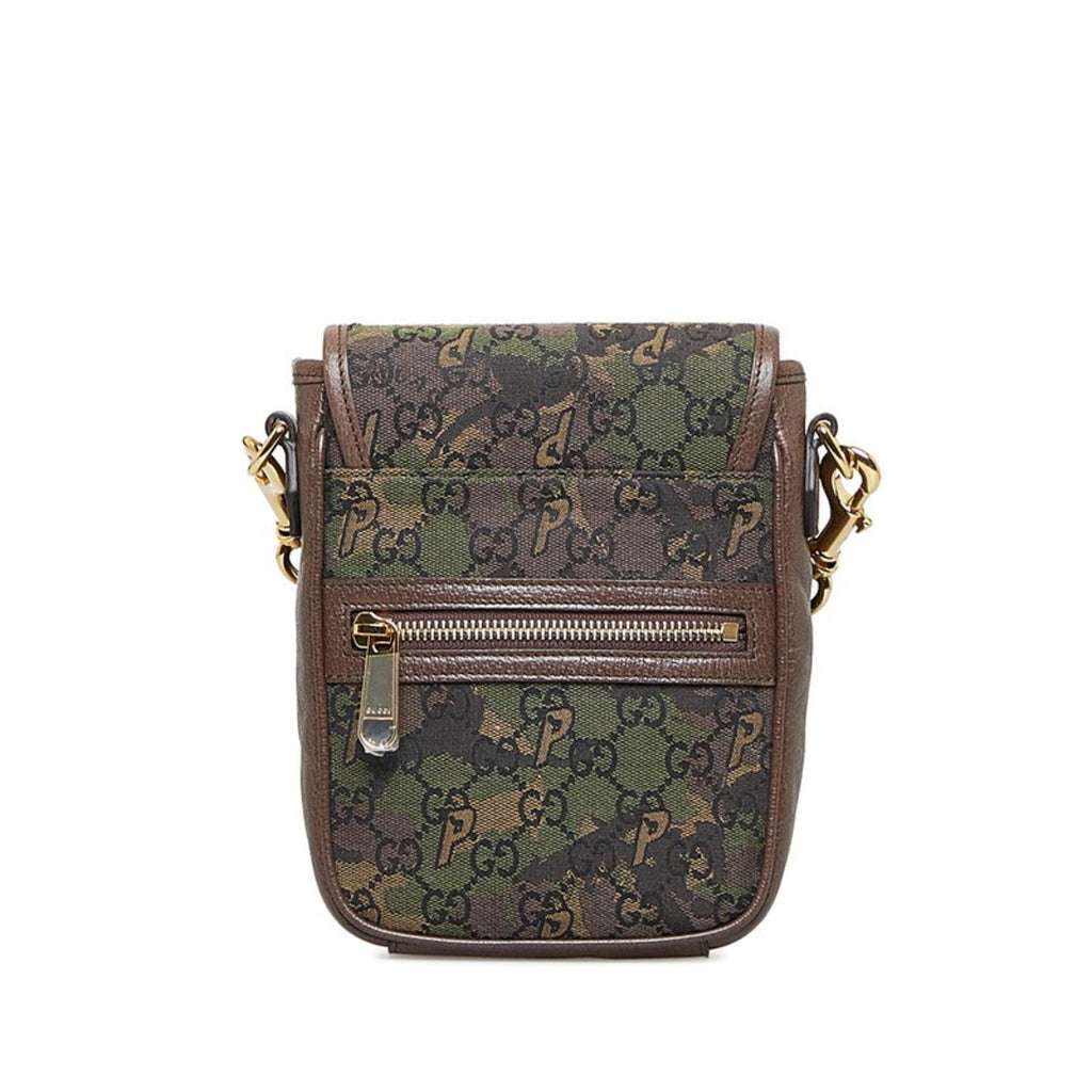 Gucci GG canvas