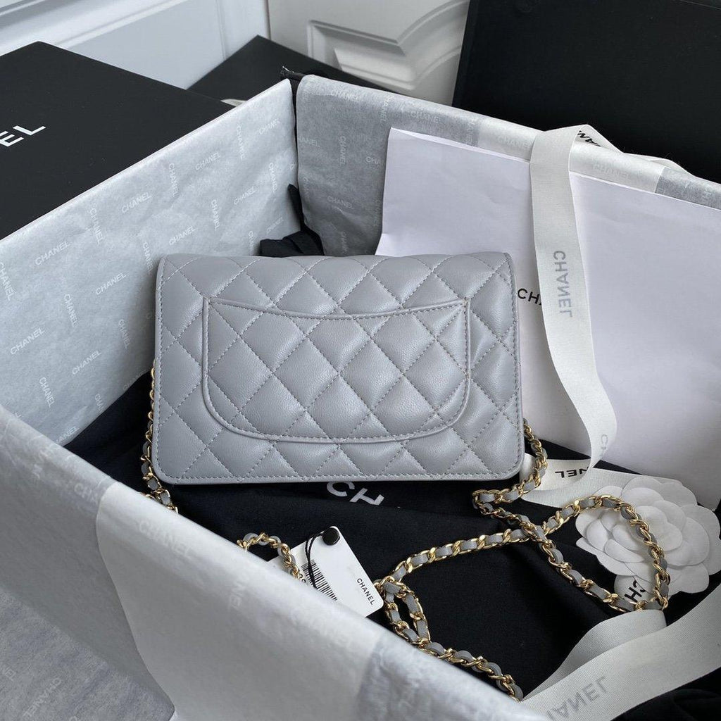 Chanel Woc Silver