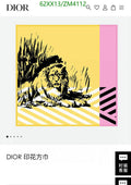 SAMC - DOR Scarves - 421