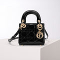 BLUSH BAGZ - Dior Bags - 223