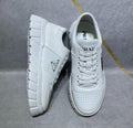 Glamy - PD Men Shoes - 229