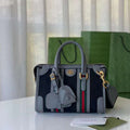 GUI2 Bags - Fashion Bags  283
