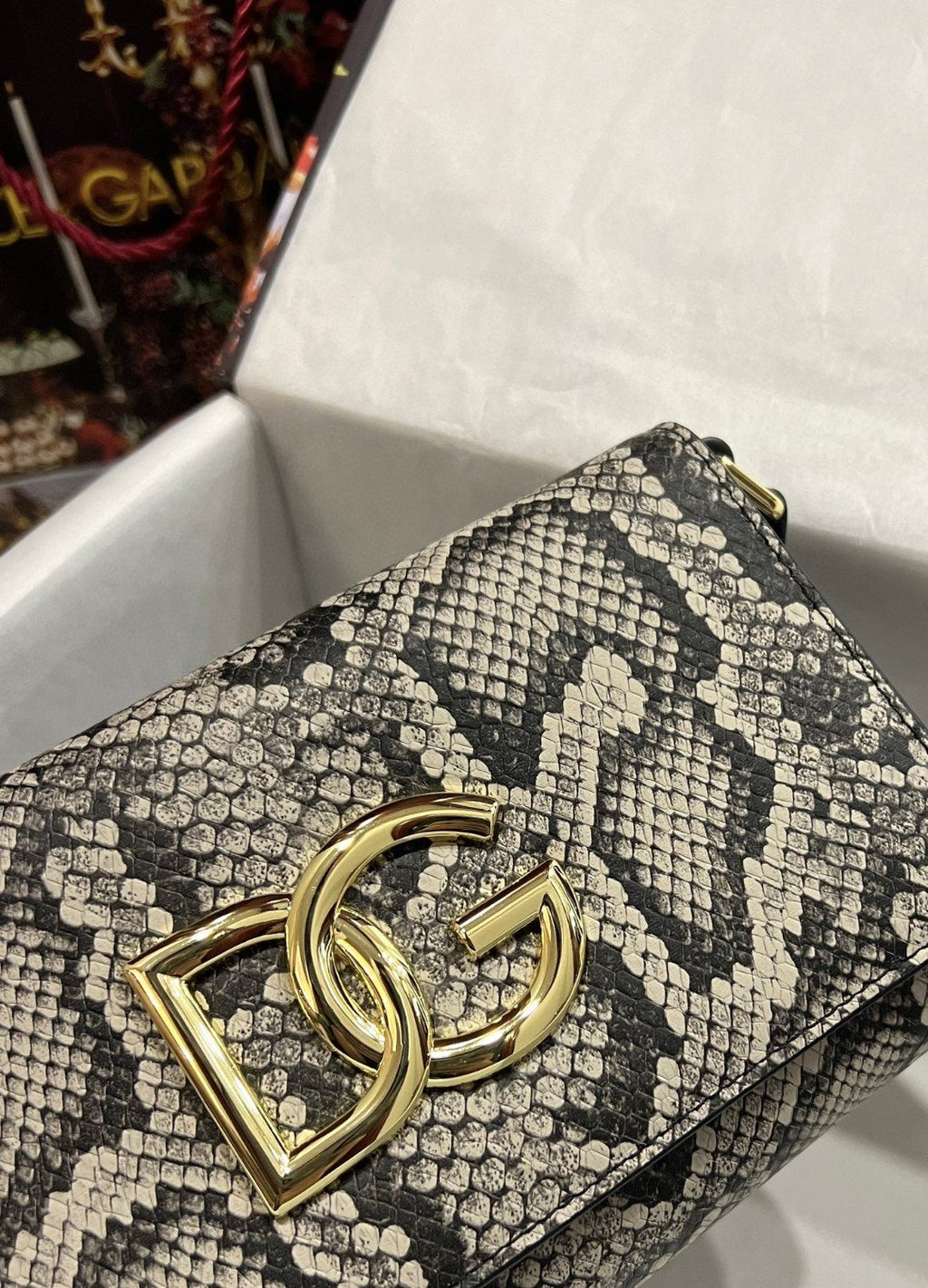 DG 3.5 Clutch Muticolour For Women 8.3in/21cm DG 